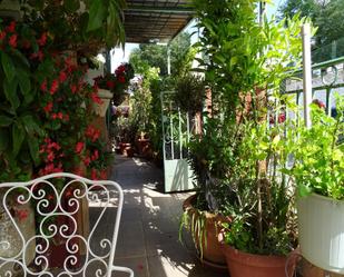 Terrassa de Casa o xalet en venda en Guadix amb Calefacció, Jardí privat i Terrassa