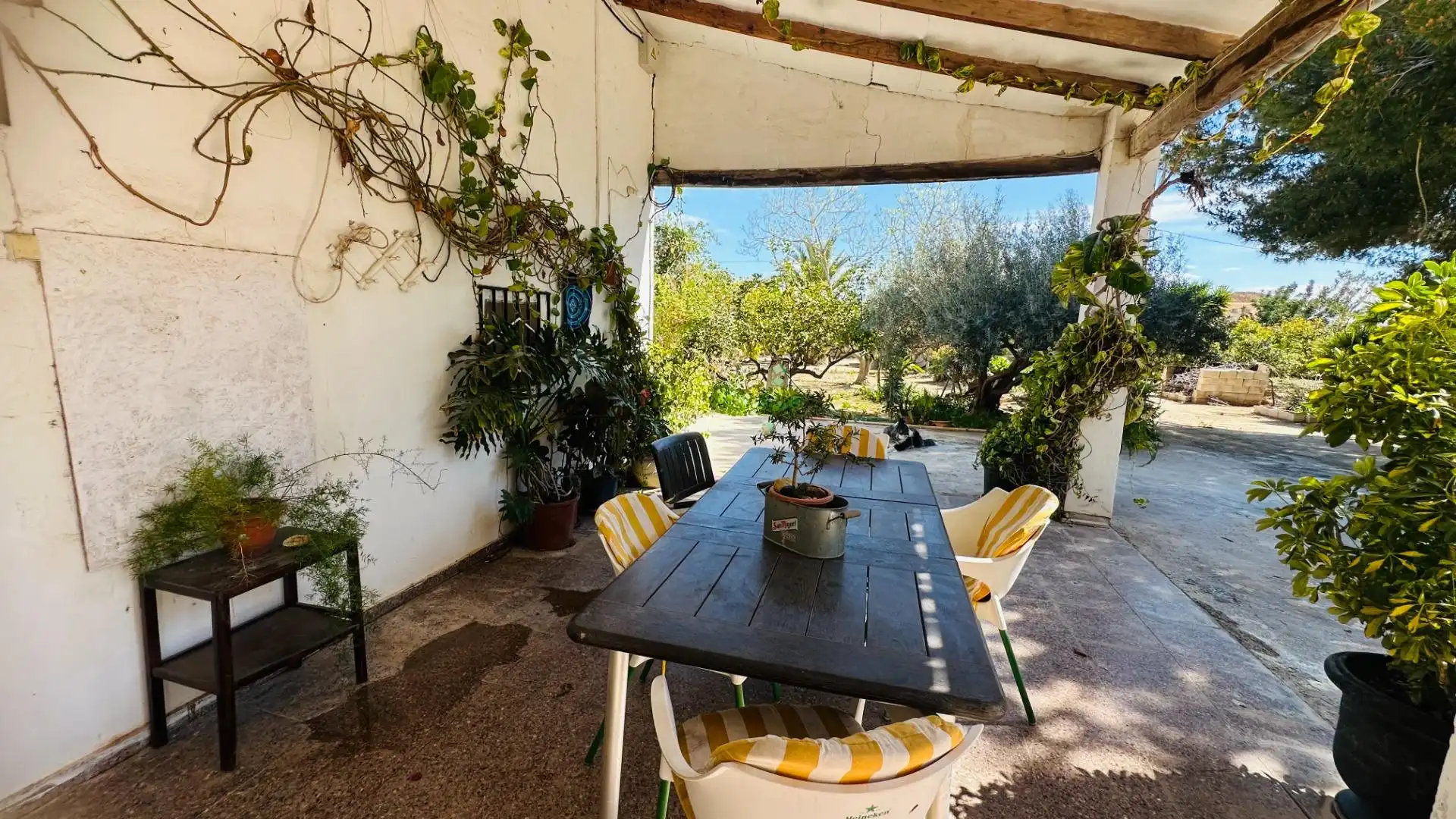Jardí de Casa o xalet en venda en Elche / Elx amb Jardí privat, Traster i Piscina