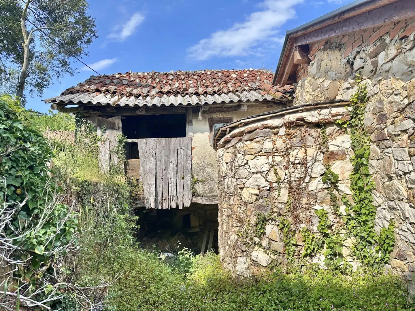 Vista exterior de Casa o xalet en venda en Salas amb Jardí privat
