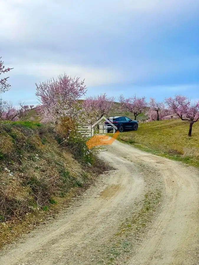 Maison rustique à vendre à Vélez-Rubio, imagen 32