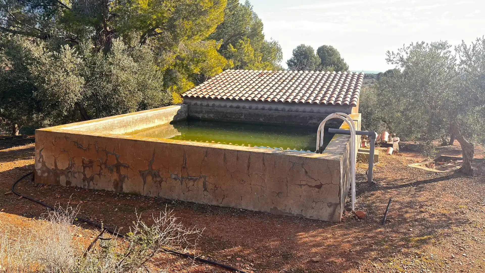 Terreno rustico in vendita a Carrer de Sant Abdó i Sant Senén, imagen 12