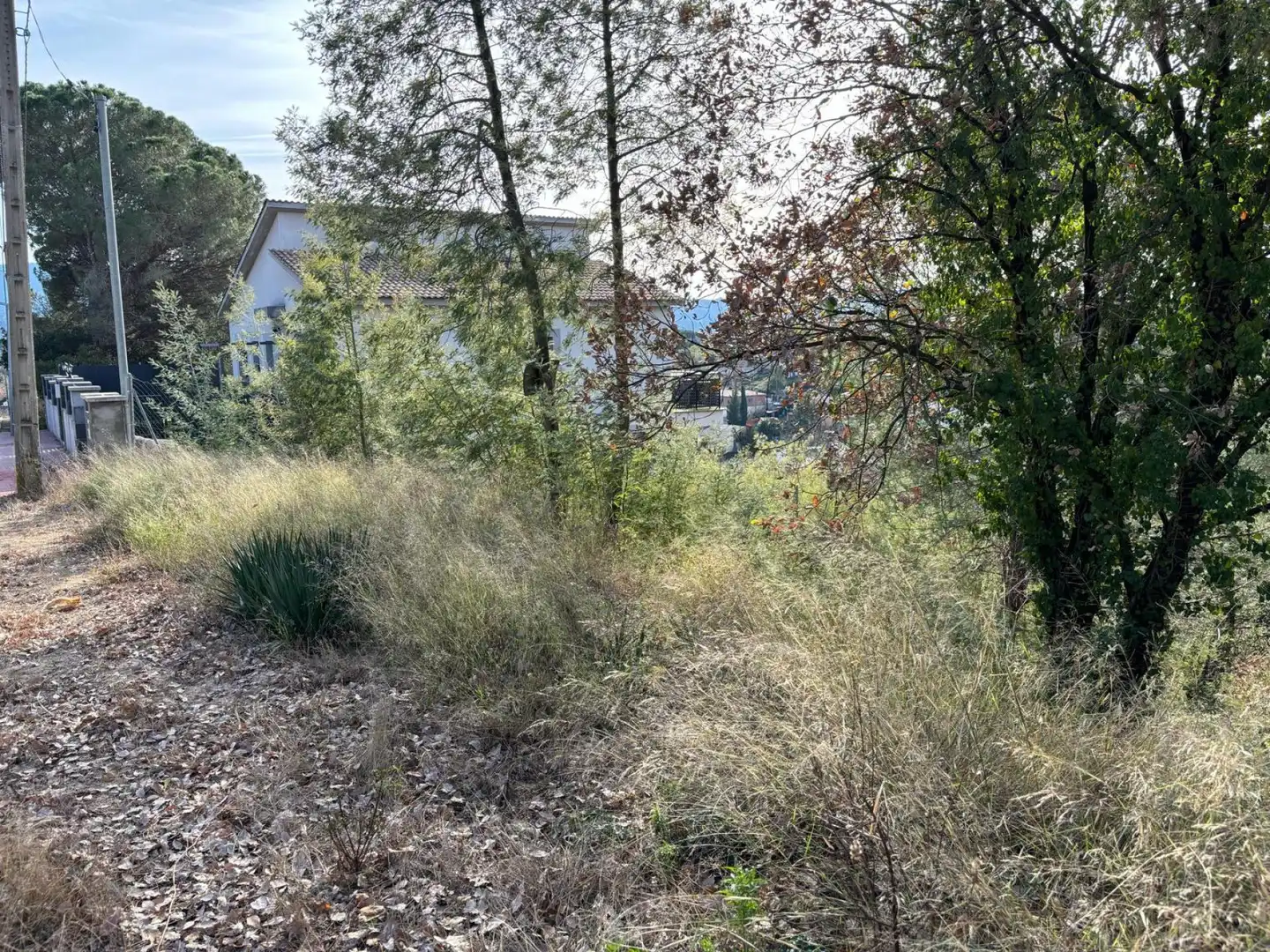 Terreno residencial en venta en Riells i Viabrea, imagen 4