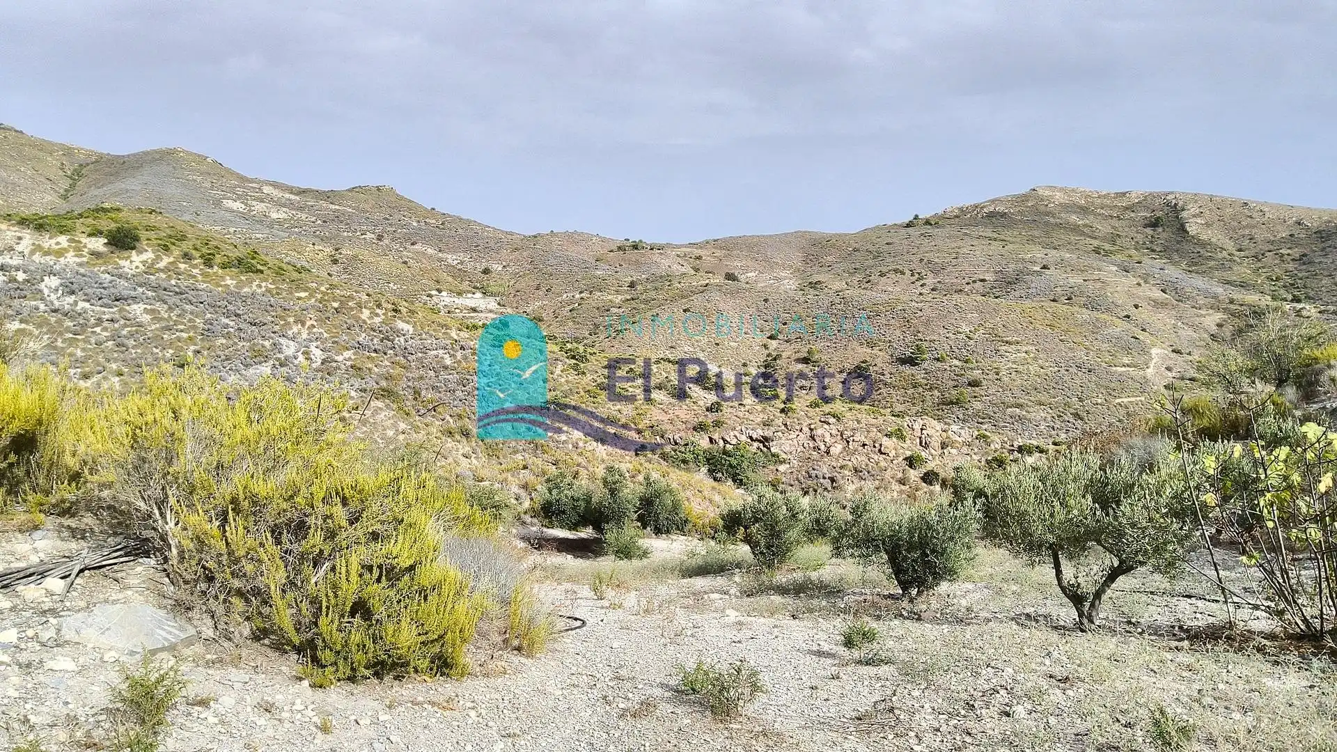 Terreno rústico en venta en Pedanías Oeste, imagen 5