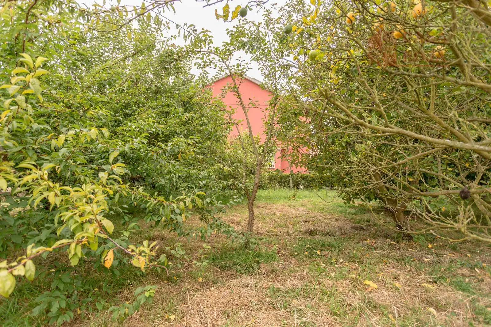Xalet en venda a Darbo, imagen 9