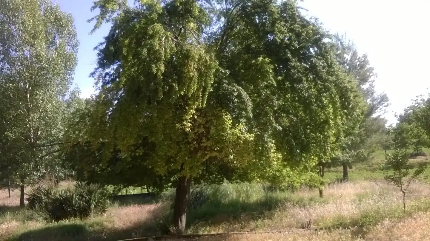Grundstücke und Bauplätze zum Verkauf in Torrejón del Rey, imagen 16