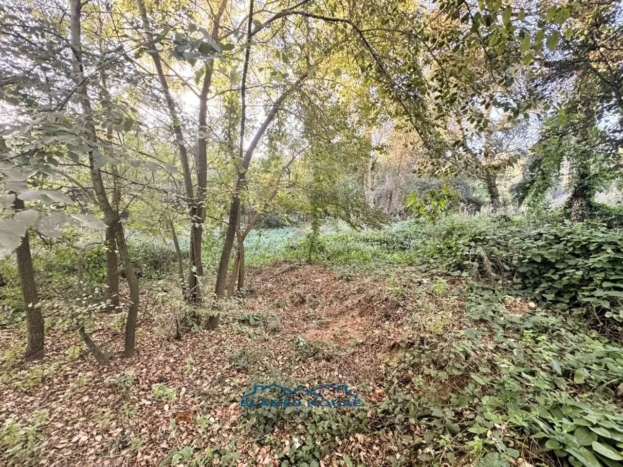 Finca rústica en venda en Tordera amb Jardí privat