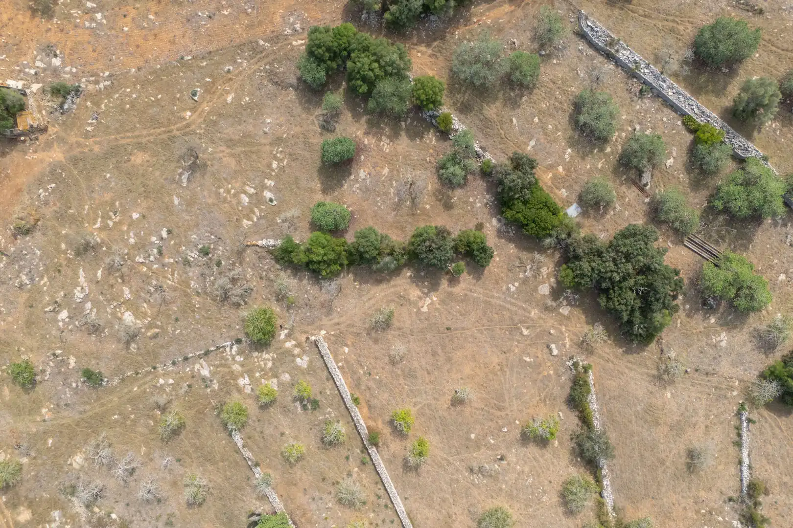 Terrain résidentiel à vendre à Son Servera Poble, imagen 6