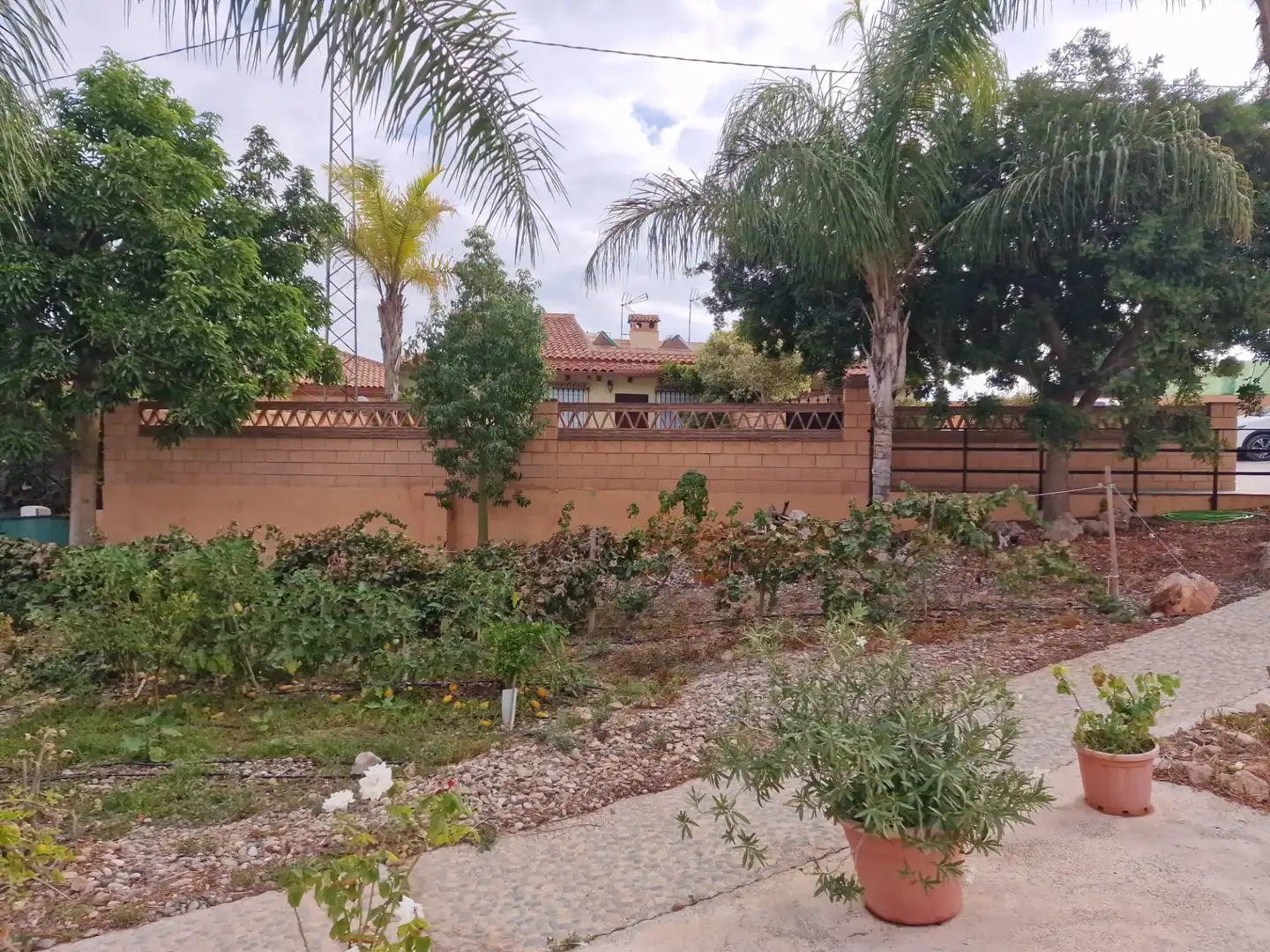 Terreno rustico in vendita a El Romeral - Peñón de Zapata, imagen 45