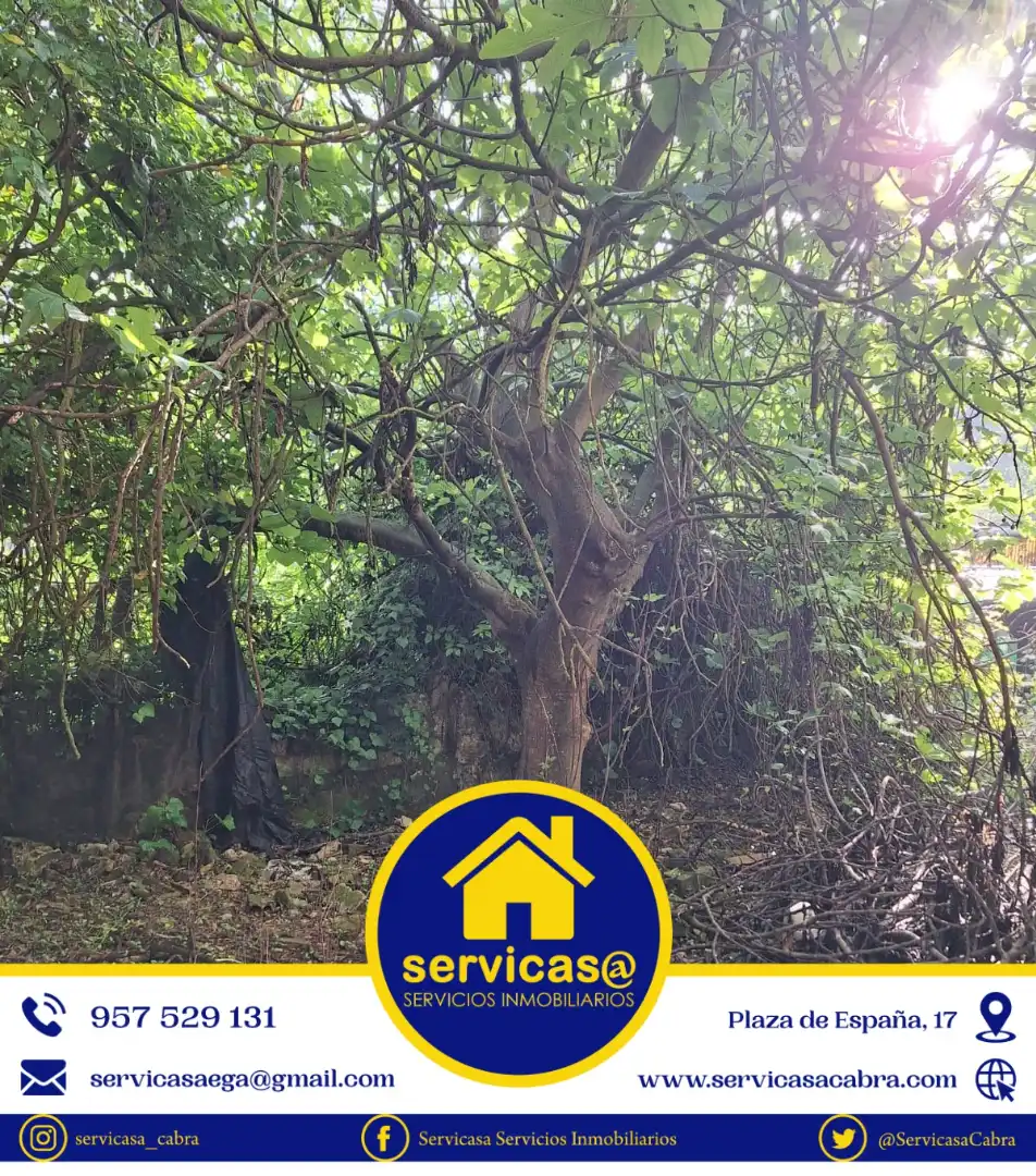 Houses for sale in Rute