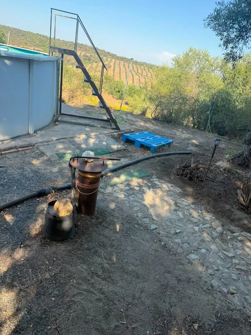 Vista exterior de Casa o xalet en venda en Villanueva del Río y Minas amb Jardí privat, Terrassa i Traster