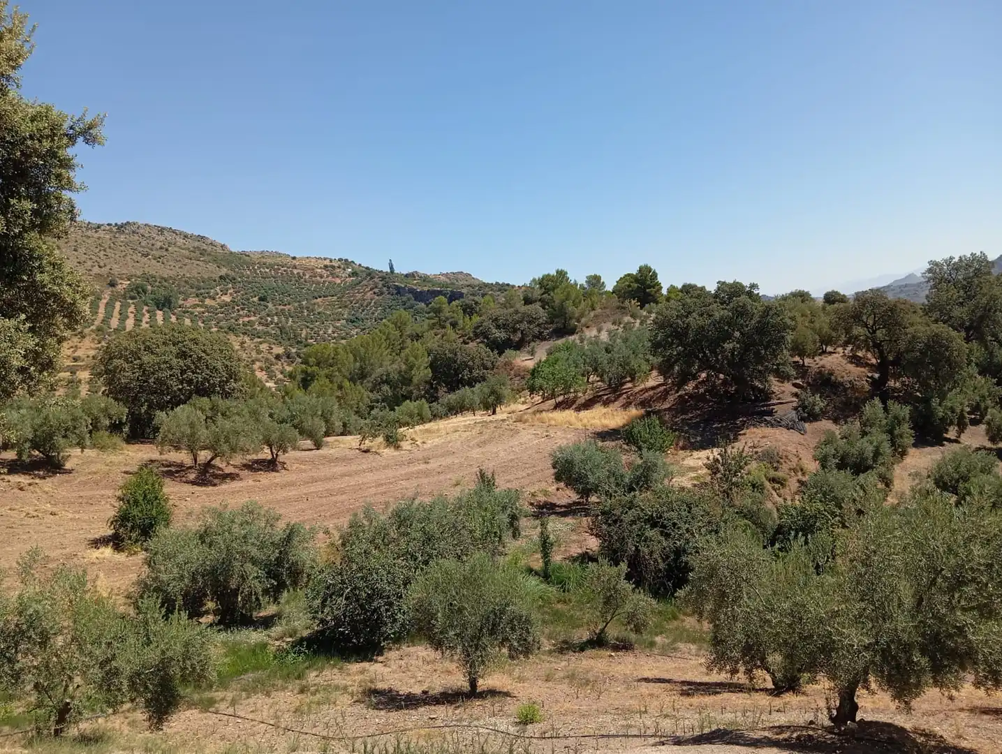 Xalet amb piscina en venda a Sierra Mágina, imagen 37