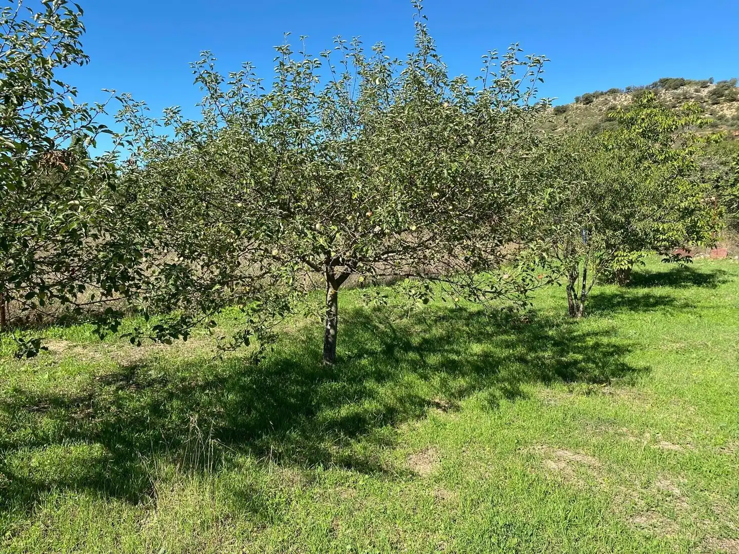 Terreno en venta en Escopete