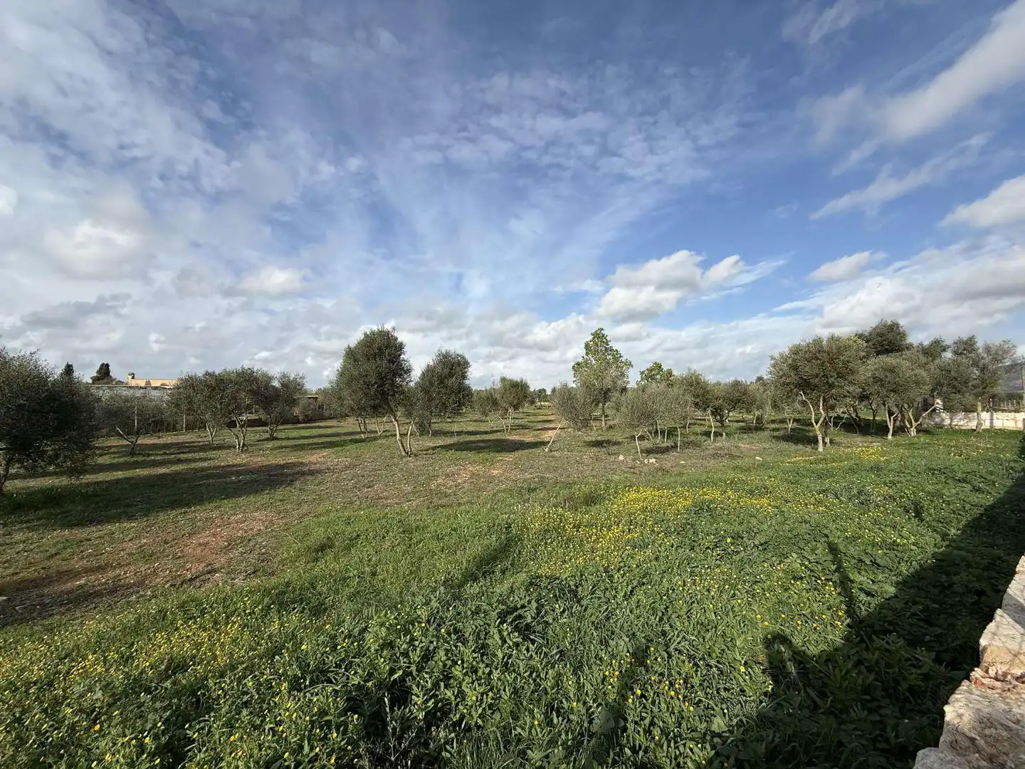 Terreno rustico in vendita a Ronda de Migjorn 64, imagen 5
