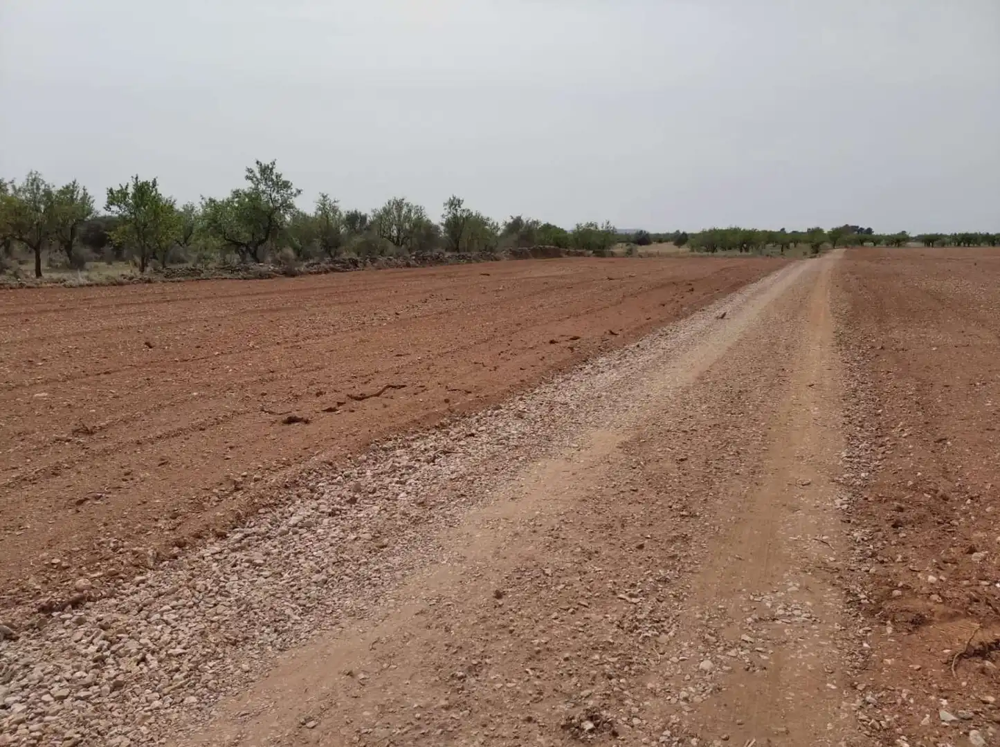 Terrenys i solars en venda a Benlloc, imagen 4