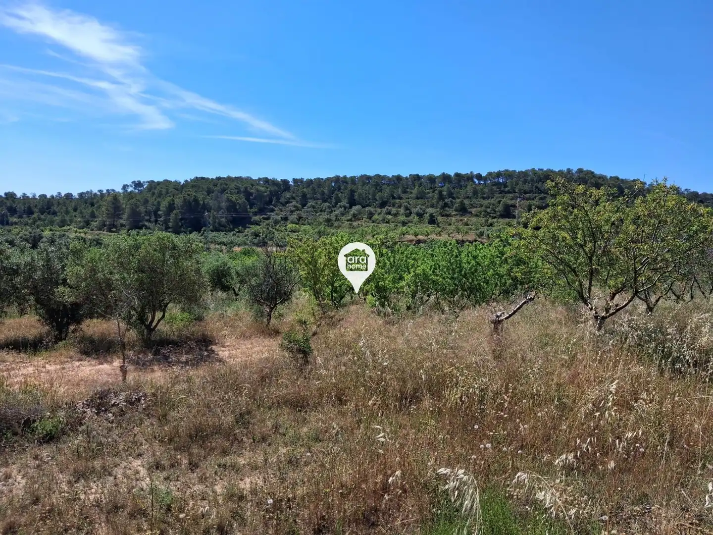 Land for sale in Madrid
