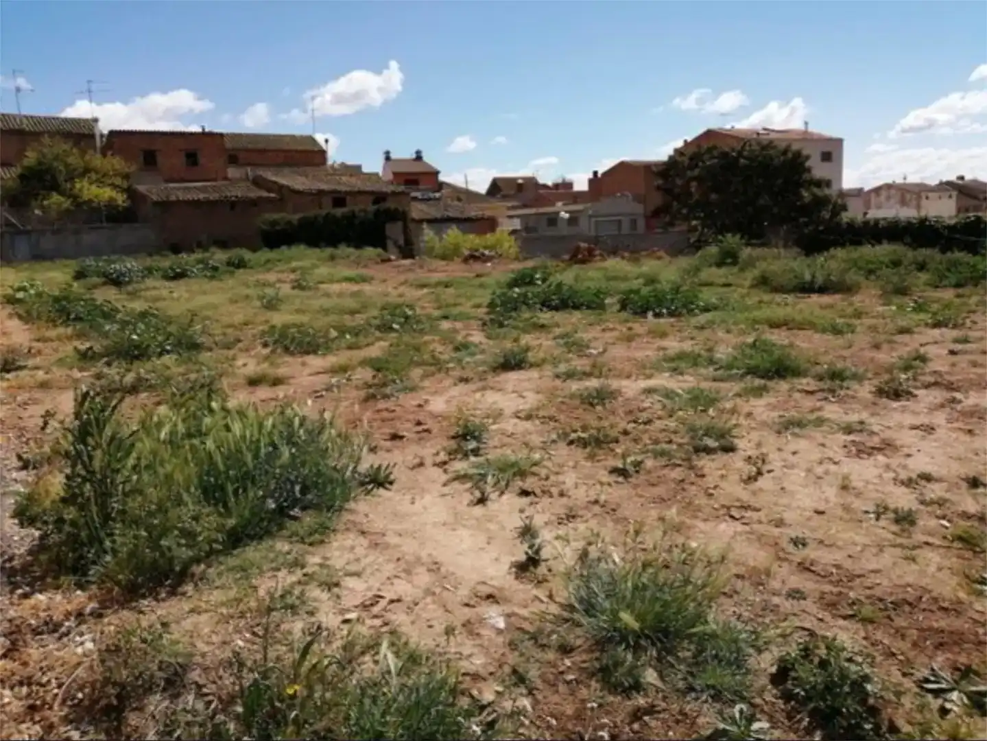 Land for sale in Albesa