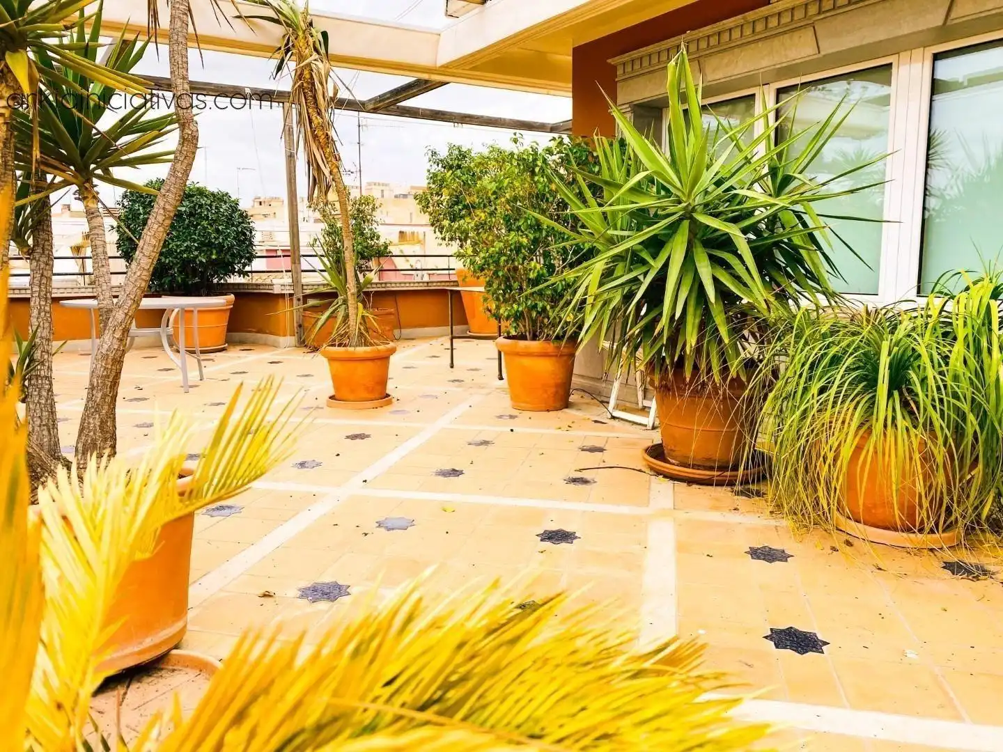 Penthouse zum Verkauf in Casco Antiguo, imagen 17