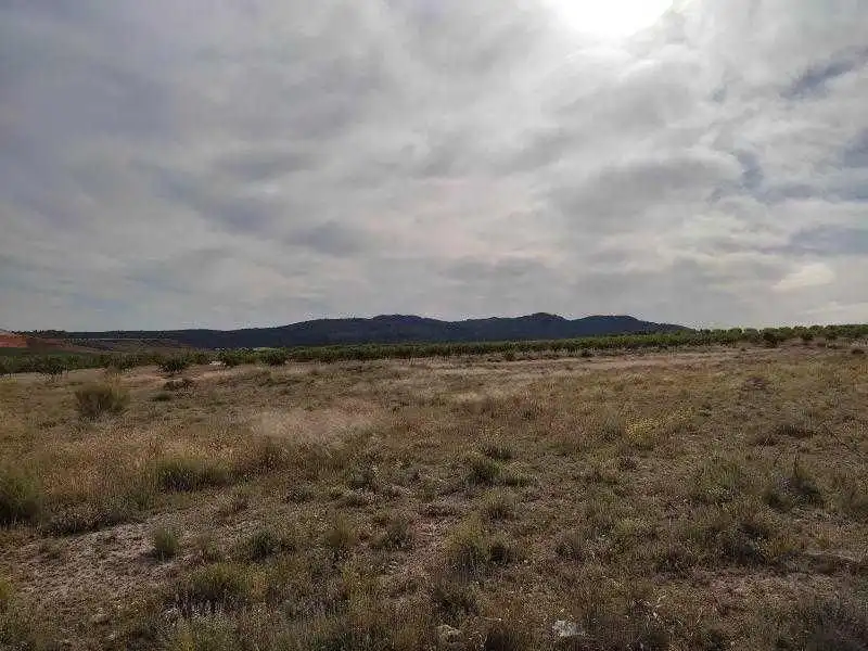 Terreny rústic en venda a Caravaca de la Cruz, imagen 2