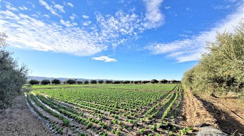 Foto 4 de Residencial en venta en Pulgara, Lorca