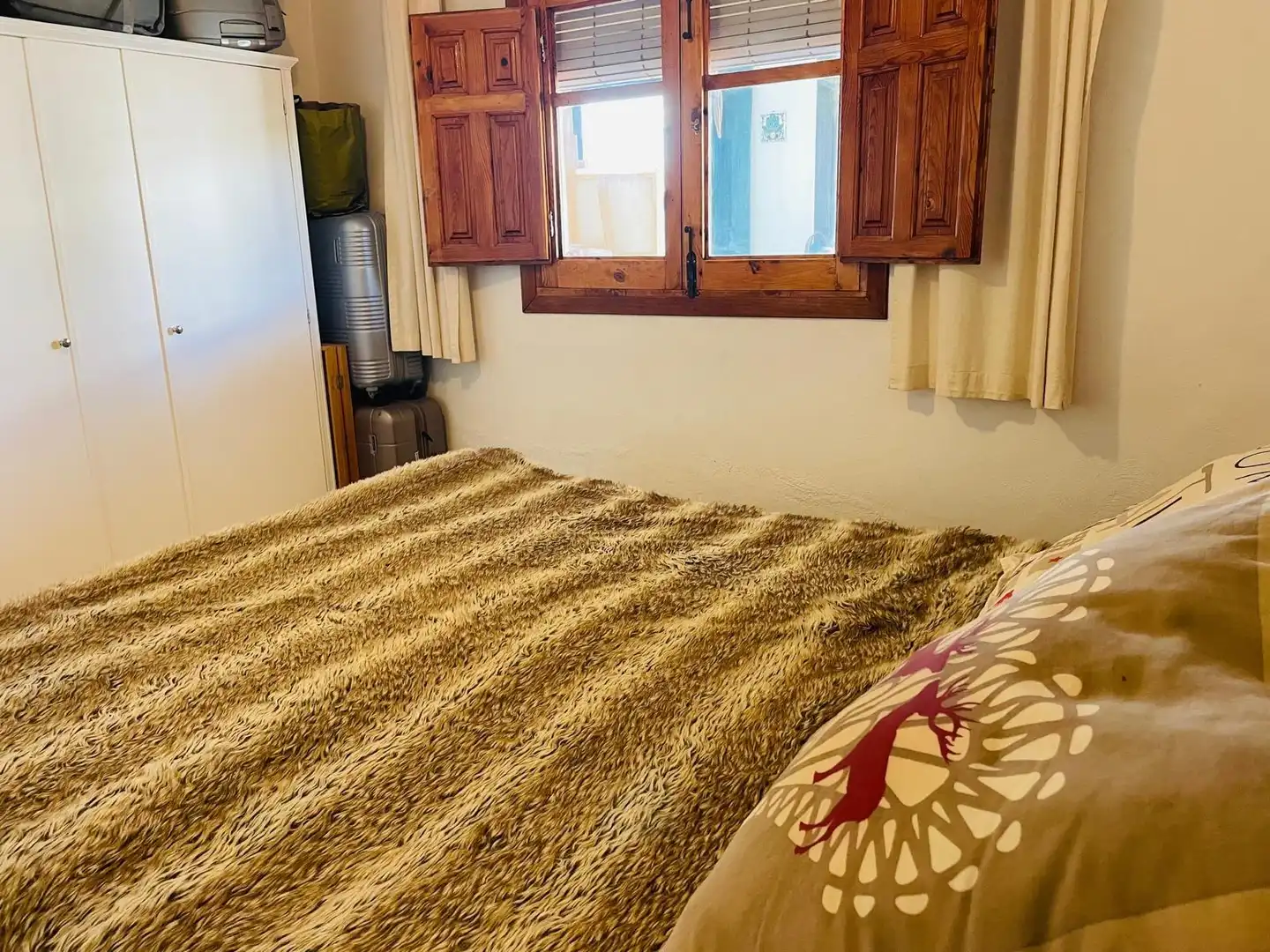 House with garden to rent in Oliva Playa, imagen 12