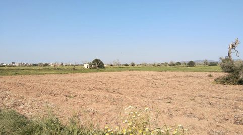 Foto 5 de Terreno en venta en Campos poble, Campos