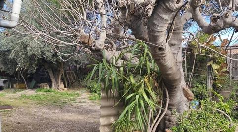 Photo 5 of Country house for sale in Albatalia,  Murcia Capital