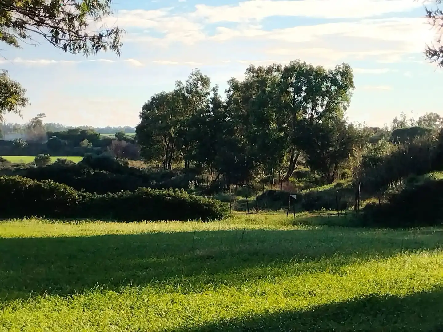 Terreno residencial en venta en Pelagatos - Pago del Humo, imagen 19