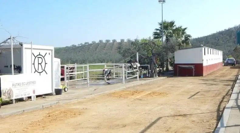 Terreny rústic en venda a Sanlúcar la Mayor, imagen 4