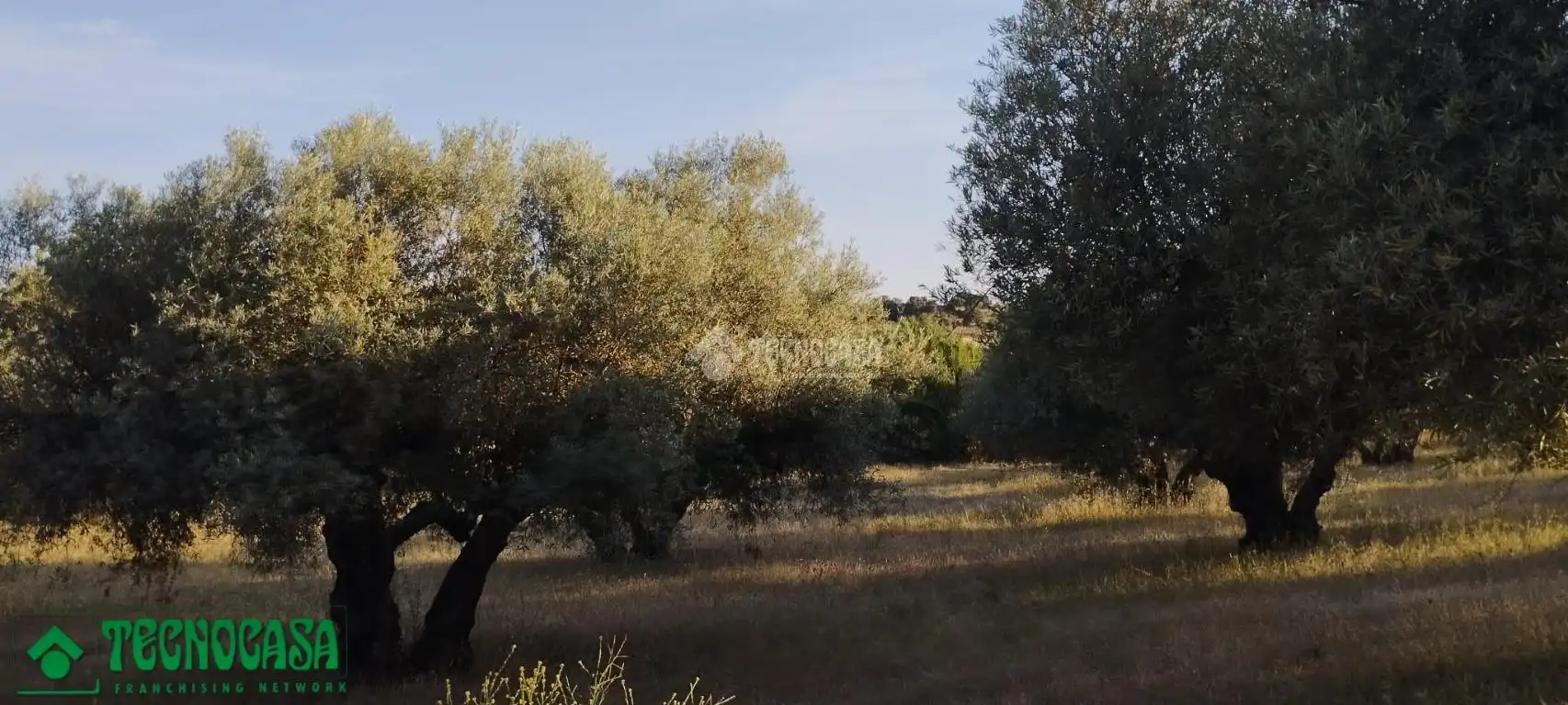 Terreni e lotti in vendita a Méntrida, imagen 6