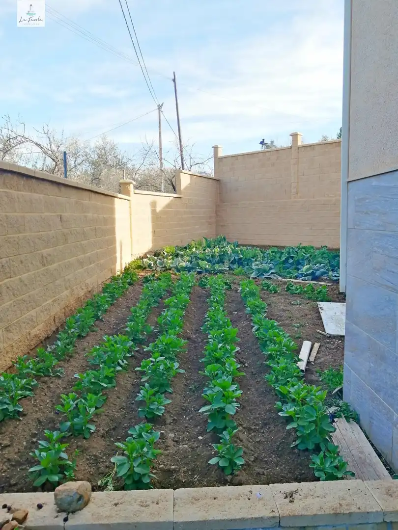Jardí de Casa o xalet en venda en Loja amb Jardí privat, Terrassa i Traster