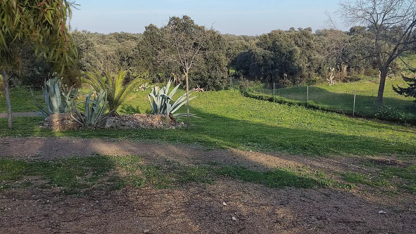 Xalet en venda a Villalba de los Barros, imagen 76