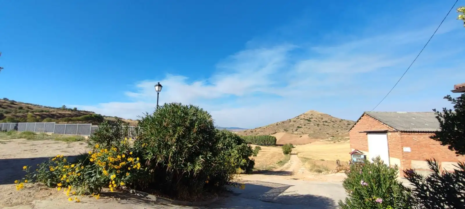 Vista exterior de Finca rústica en venta en Alarilla