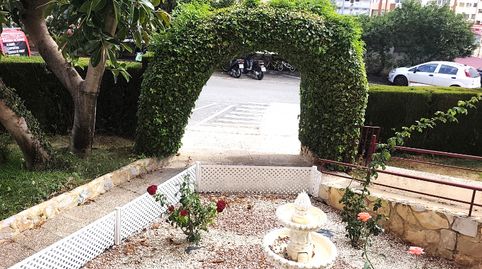 rincon bajo
