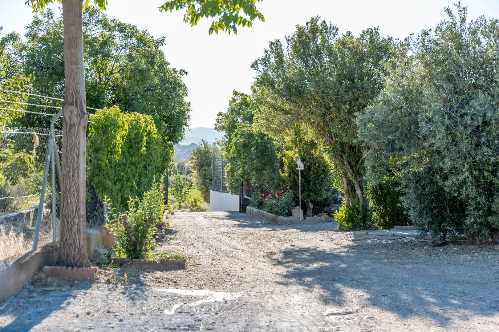 Vista exterior de Casa o xalet en venda en Guadix amb Aire condicionat, Calefacció i Jardí privat