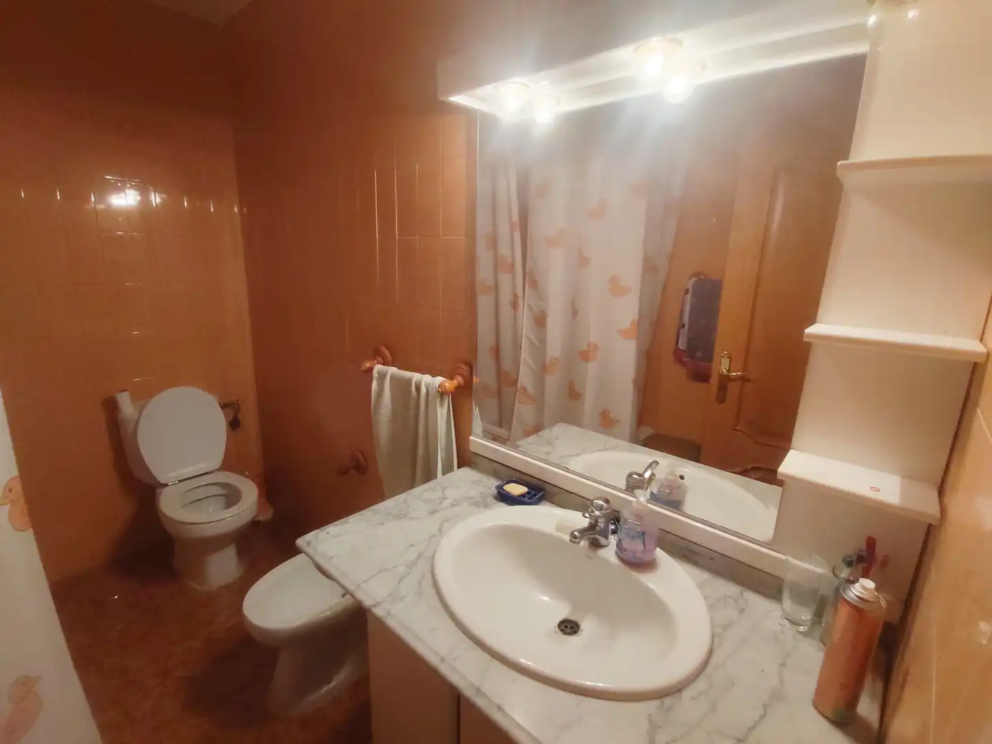 Badezimmer von Wohnung zum Verkauf in Cercedilla mit Heizung, Terrasse und Abstellraum