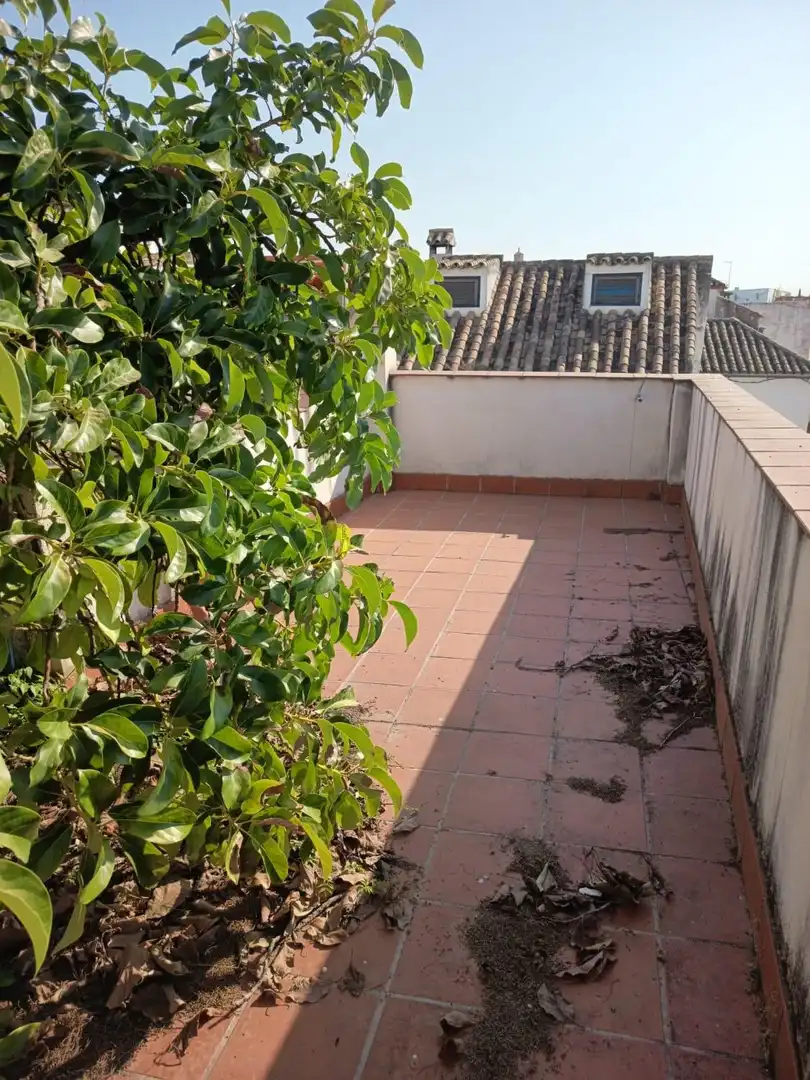 Terrassa de Casa o xalet en venda en Córdoba amb Aire condicionat, Terrassa i Traster