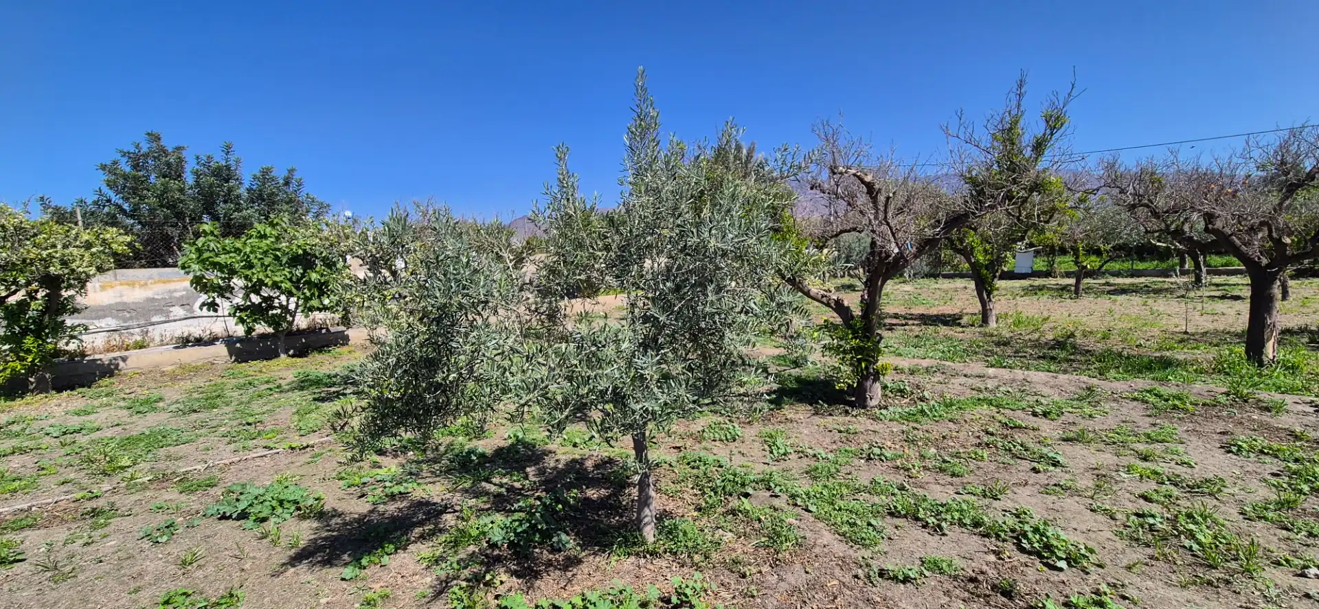 Finca rústica en venda en Benahadux