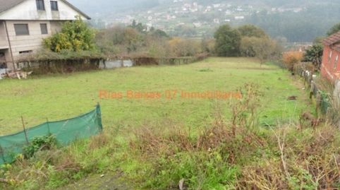 REF 2666 SOLAR PARCELABLE 2531 m2 MOS, immagine 3