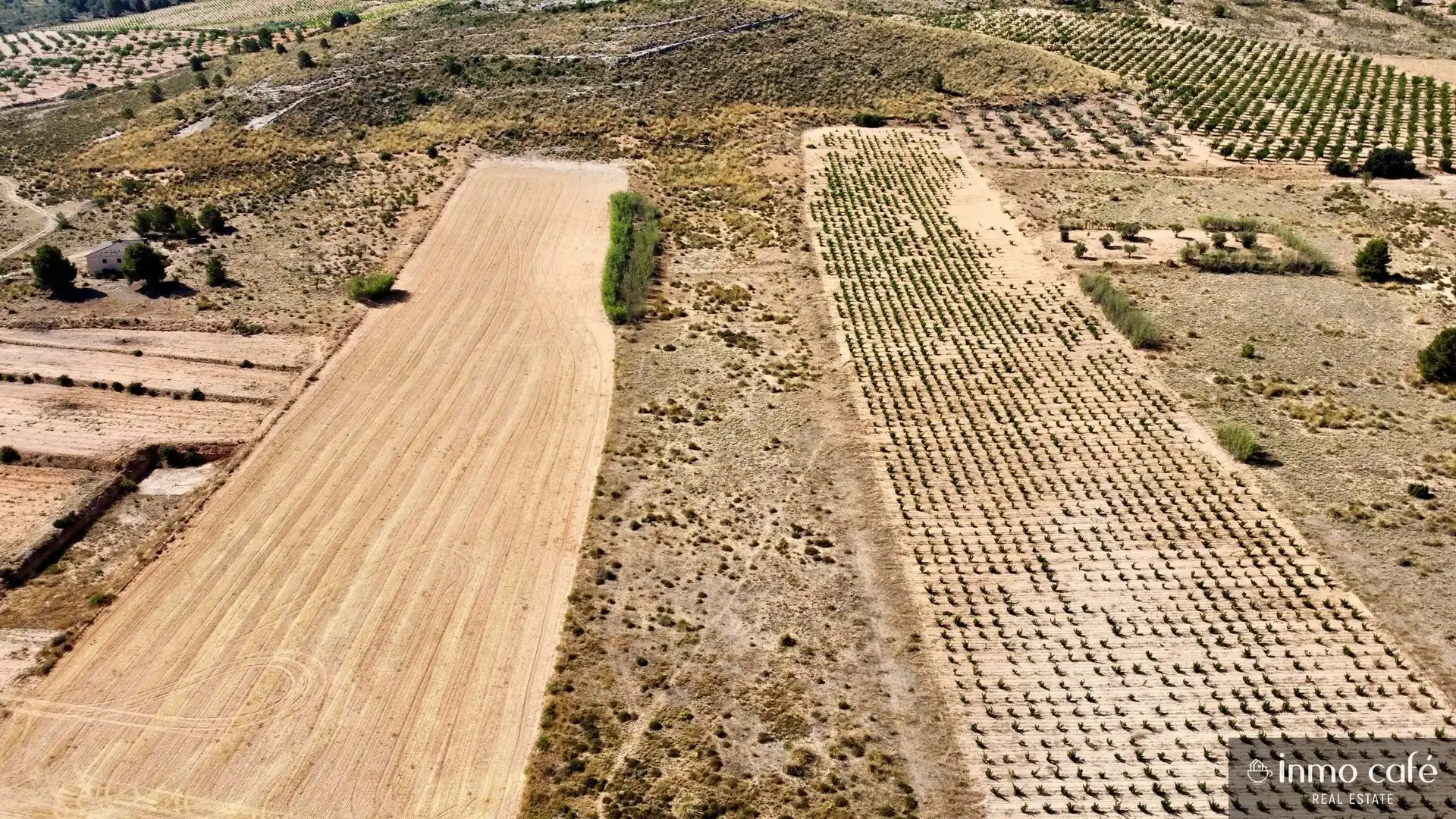 Terreno rustico in vendita a Parcela  CABEZO POLI., imagen 3