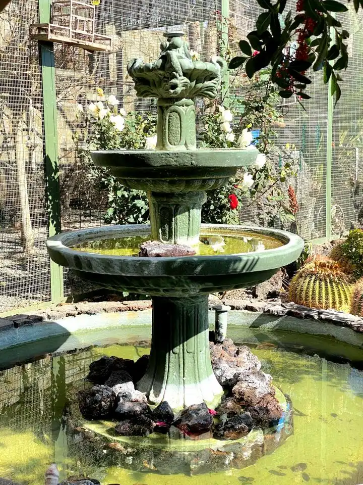 Jardí de Casa o xalet en venda en San Pedro del Pinatar amb Piscina