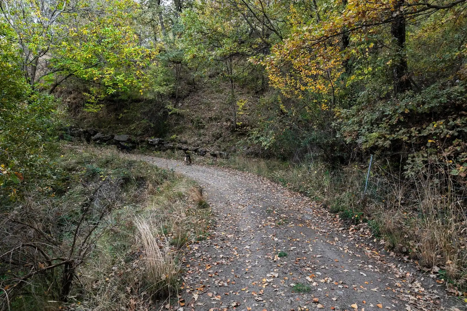 Lands and plots for sale in Güéjar Sierra, imagen 23