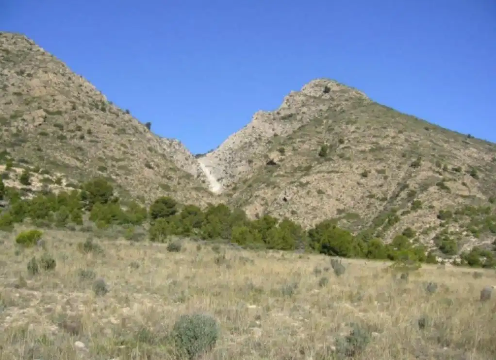 Terreno rustico in vendita a PALOMARETS (ELS), imagen 3
