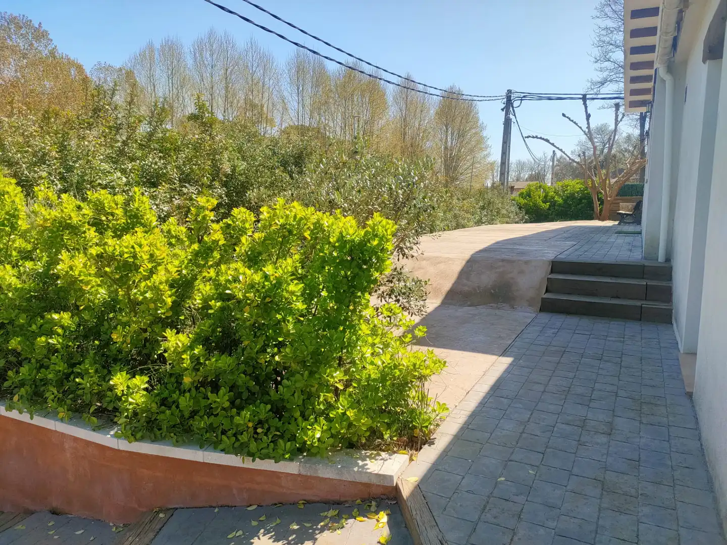 Maison avec jardin à vendre à Carrer de l'Àlber, imagen 32