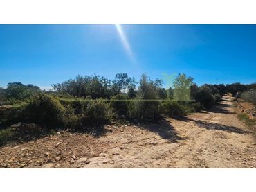 Terreny residencial en venda a Cervera del Maestre