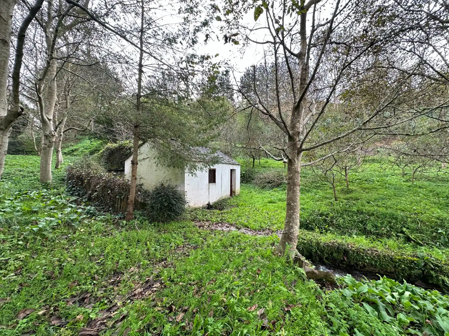 Haus mit Garten zum Verkauf in Calvela, A 1, imagen 22