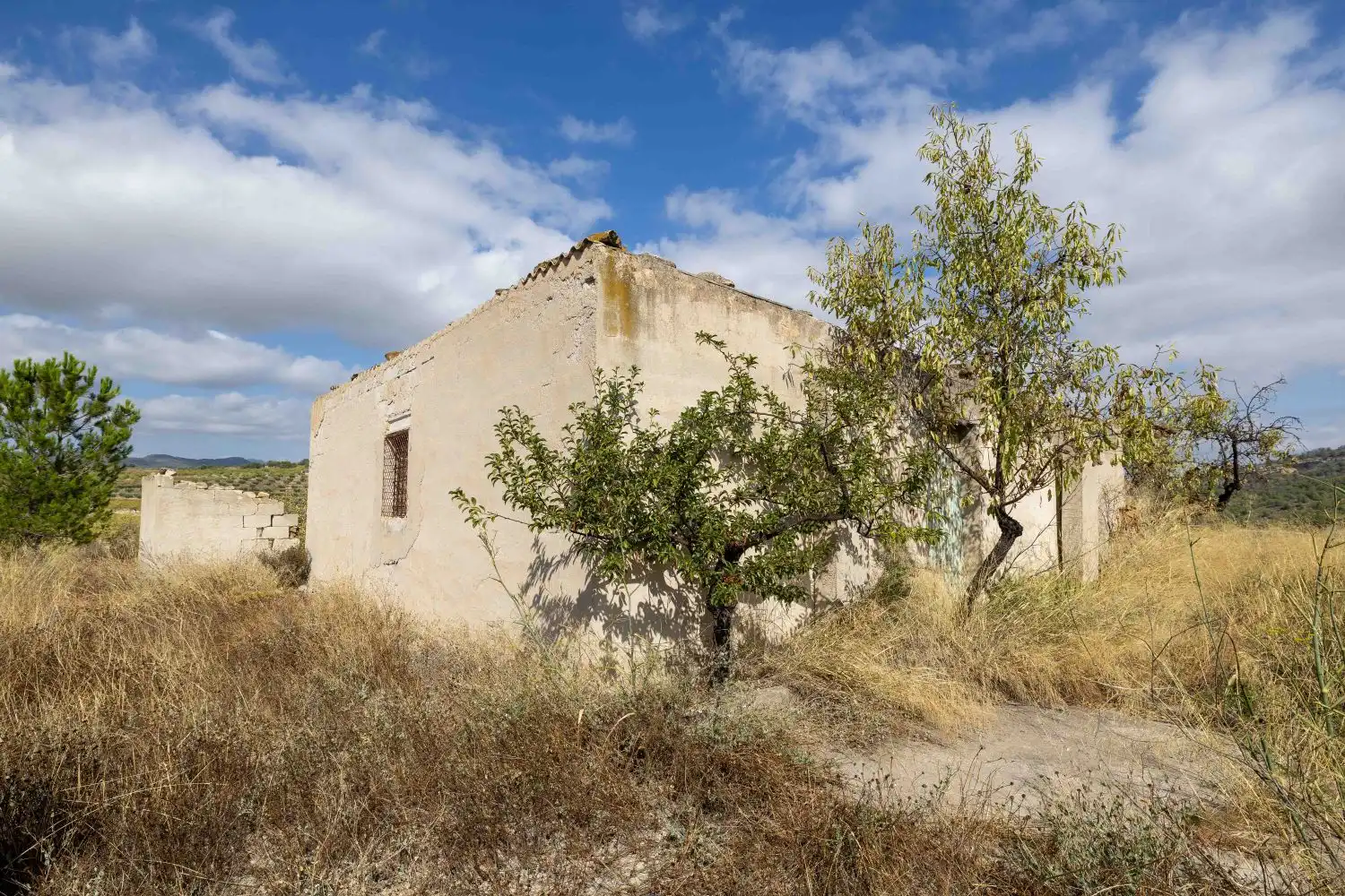 Vista exterior de Finca rústica en venta en Mula