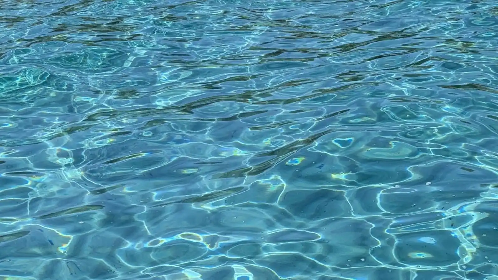 Piscina de Casa o xalet en venda en Calvià amb Aire condicionat, Calefacció i Jardí privat