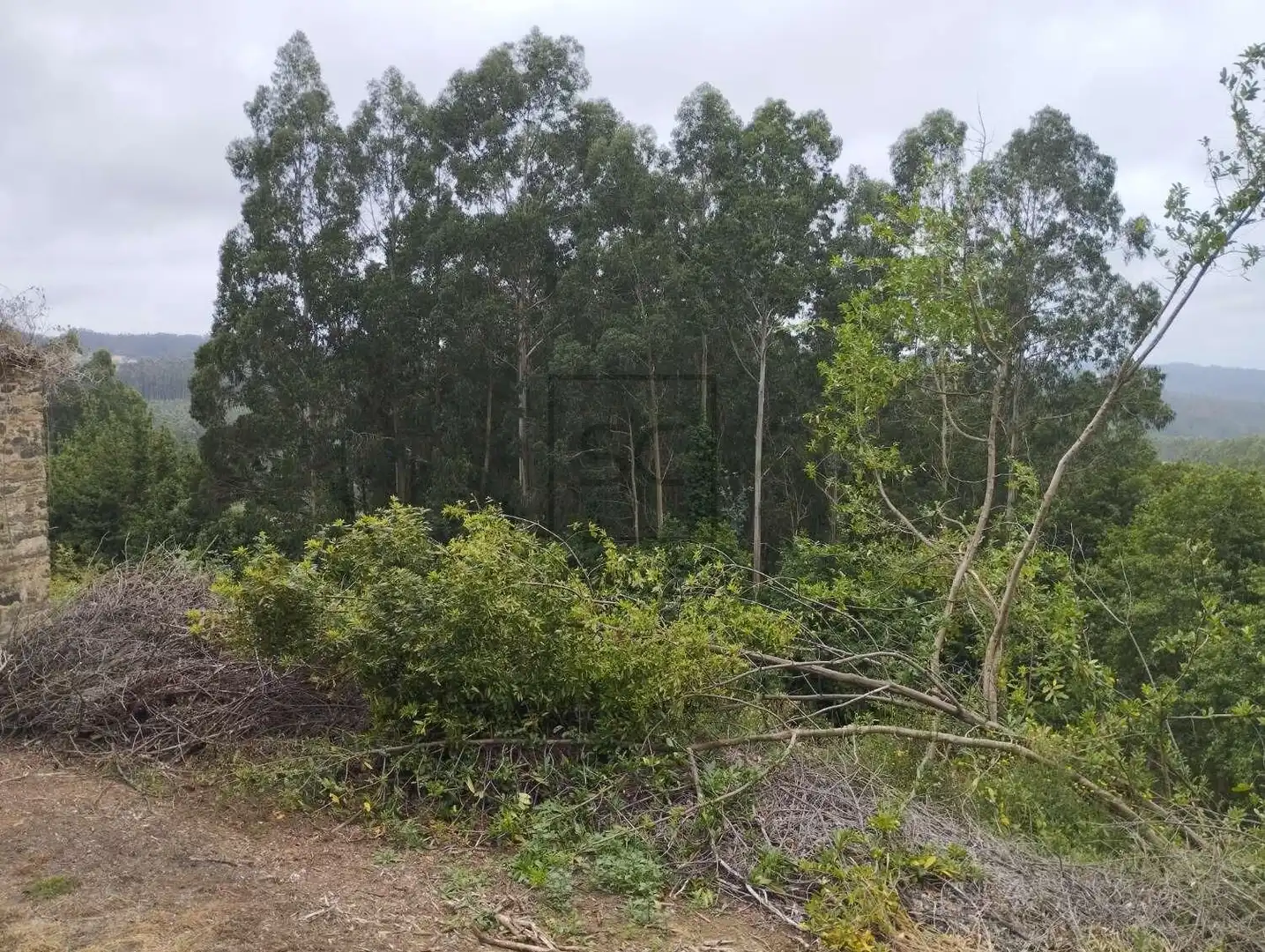 Casa o xalet en venda en Cerdido amb Jardí privat