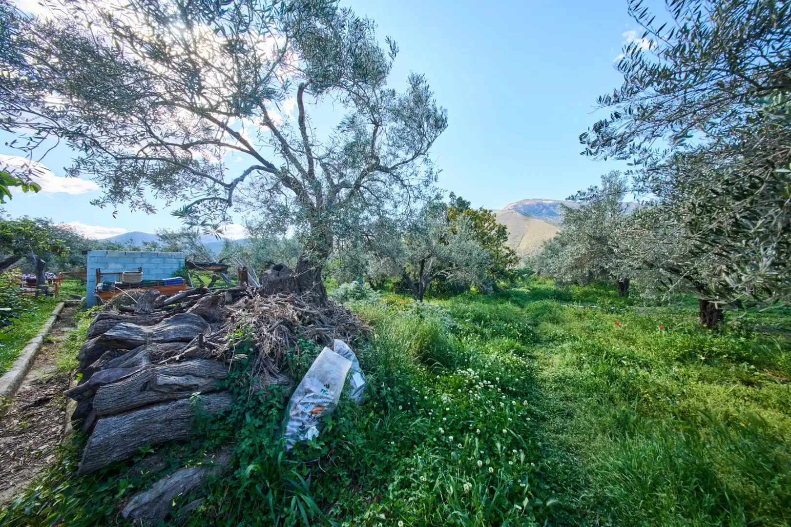 Casa rústica amb jardí en venda a Camino de la Vegueta, imagen 45
