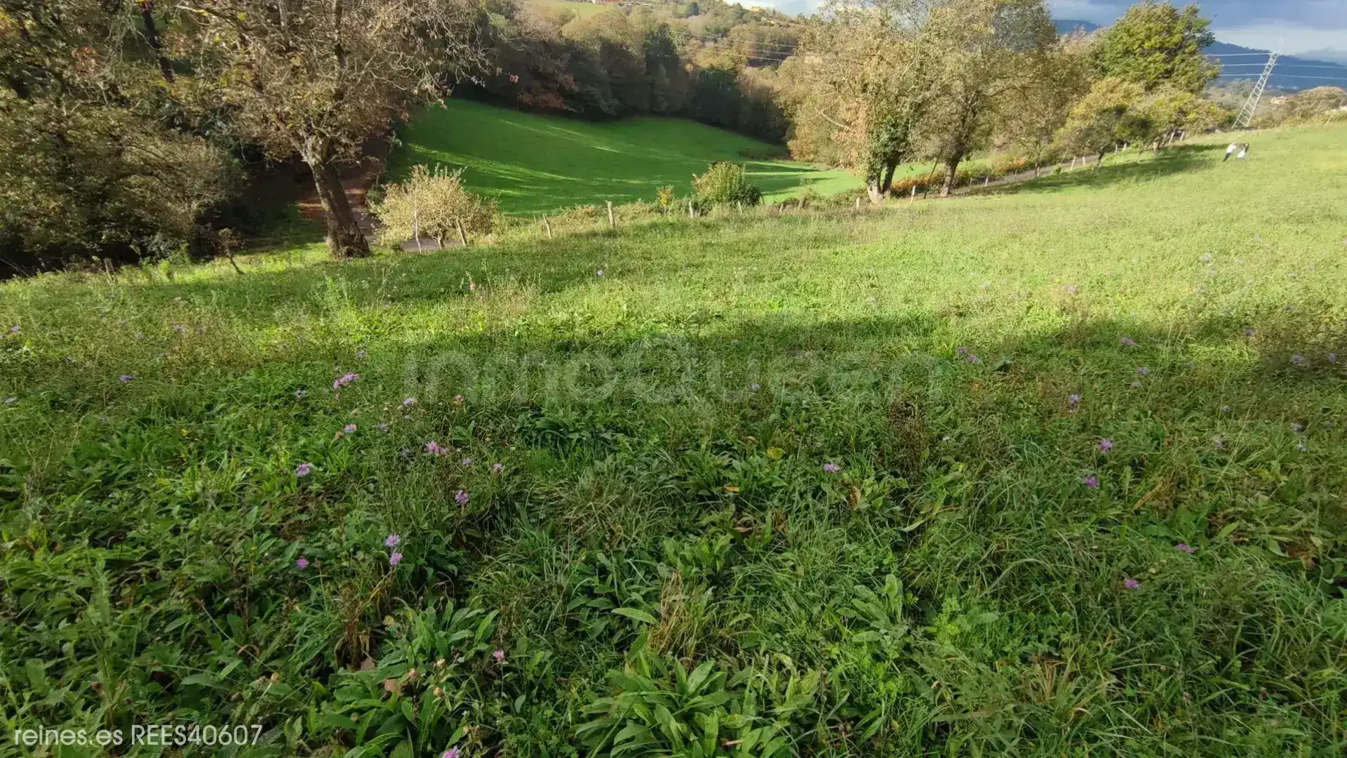 Terreno residencial en venta en N/A, imagen 4
